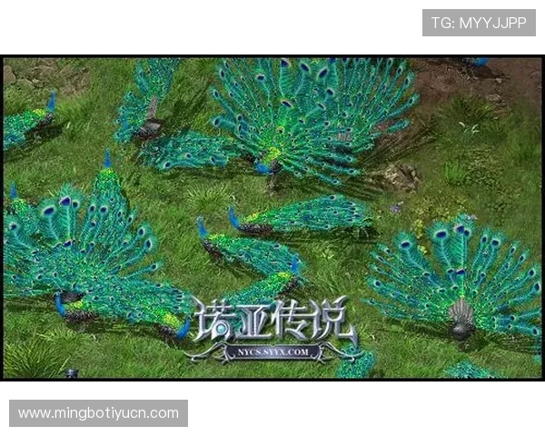 大发娱乐网站app最新版本下载安装指南帮助玩家轻松畅享丰富游戏资源 大发娱乐网站app最新版本下载安装指南帮助玩家轻松畅享丰富游戏资源